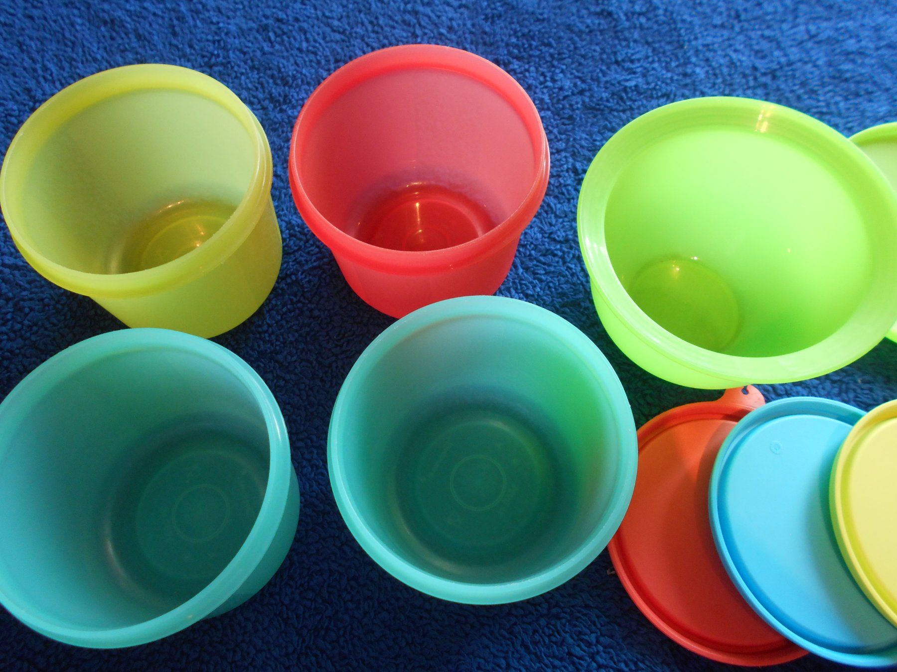 Tupperware Contenitori & Simili: Tupperware 5 Schüsseln 550 ml – Usato da Niederuzwil venduto da kleine_hexe 1