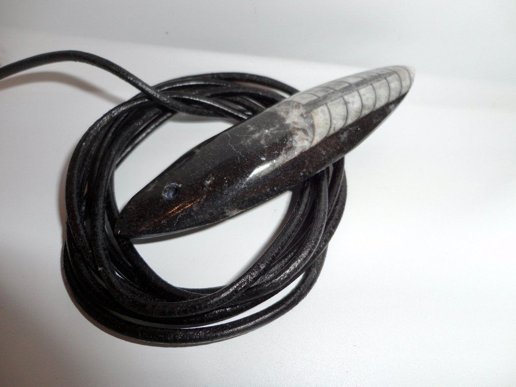 Fossili: Orthoceras Anhänger mit Lederkordel – Nuovo (secondo la descrizione) da Biberist venduto da tl-schmuck