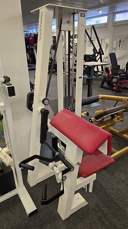 Gym80 Hometrainer: Bizepsmaschine Gym80 – Usato da Mauren venduto da ehr_5cy6