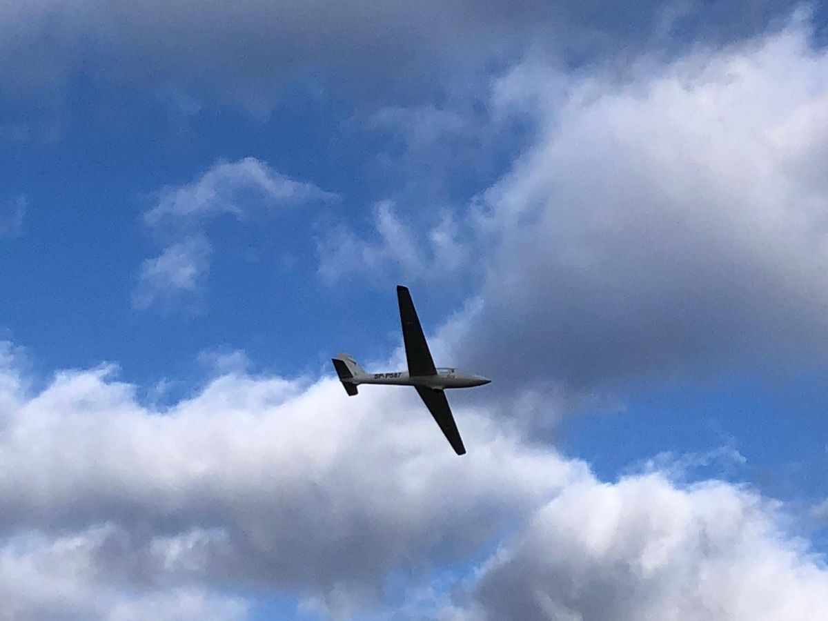 Modellismo RC: Gerasis FOX 4m flugbereit – Usato da Cordast venduto da Balduin3 3