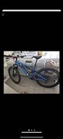 Ebike Viper E-Mountainbike Aconcagua 2.0 