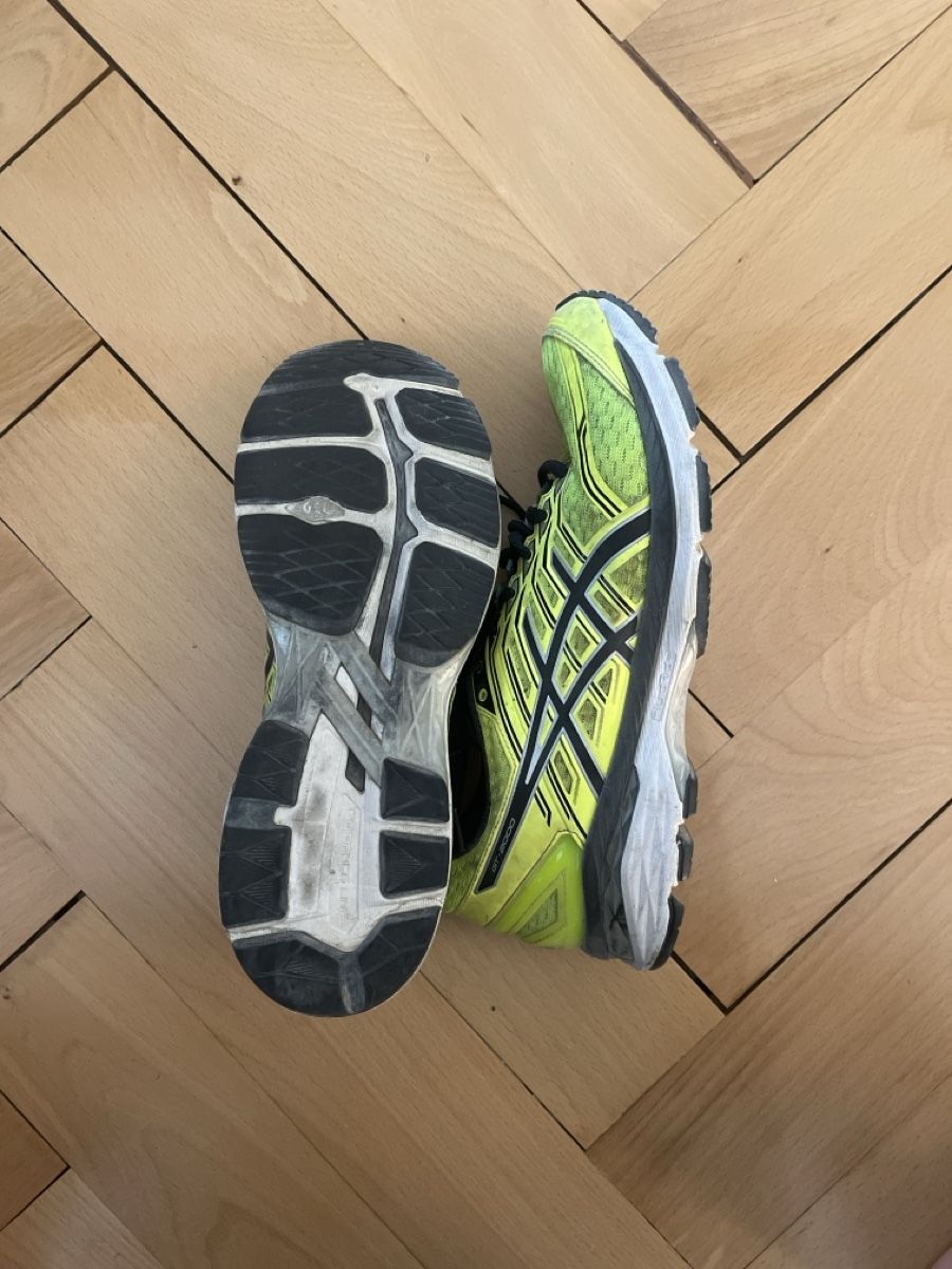 Asics Herrenschuhe: Asics GT-2000 43.5 – Gebraucht aus Zürich von molchomagnolia 1