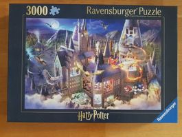 Puzzle von Ravensburger 3000 Teile
