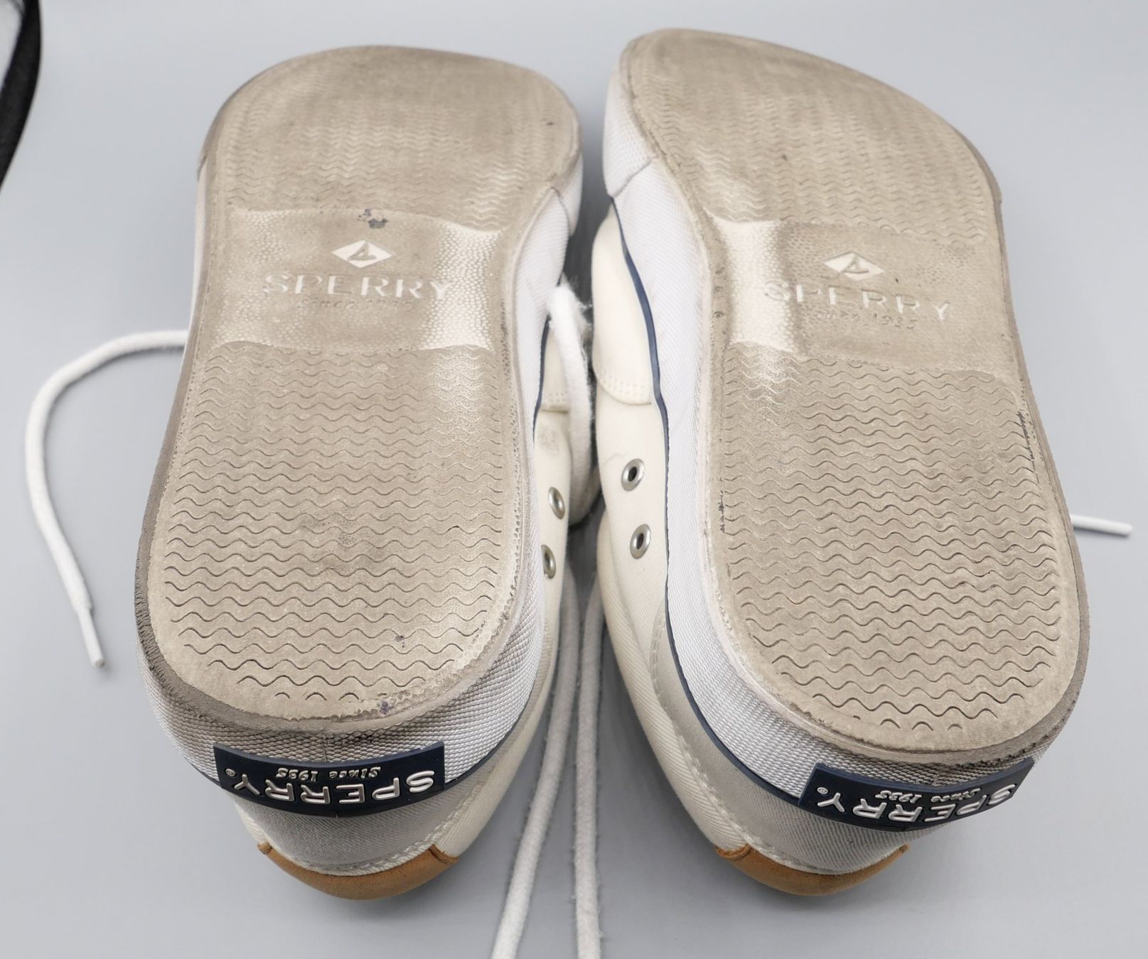 Scarpe da uomo: Sneakers SPERRY Striper II CVO White – Usato da Nyon venduto da WHTF 6