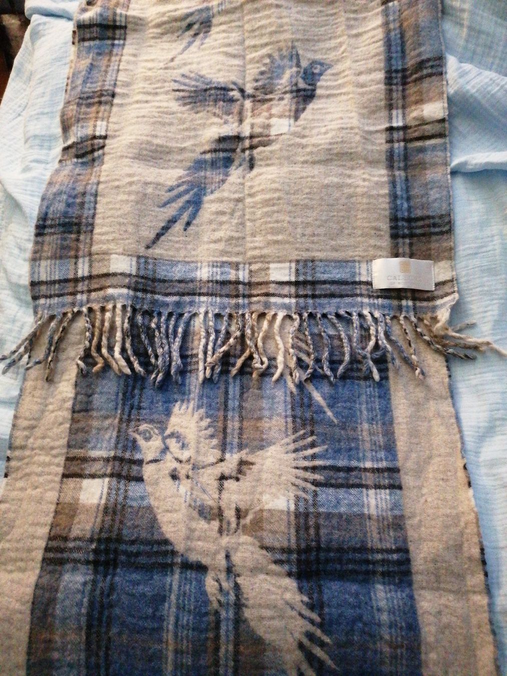 Foulard & Sciarpe: Schal aus Shotland – Usato da Kriens venduto da jamal012
