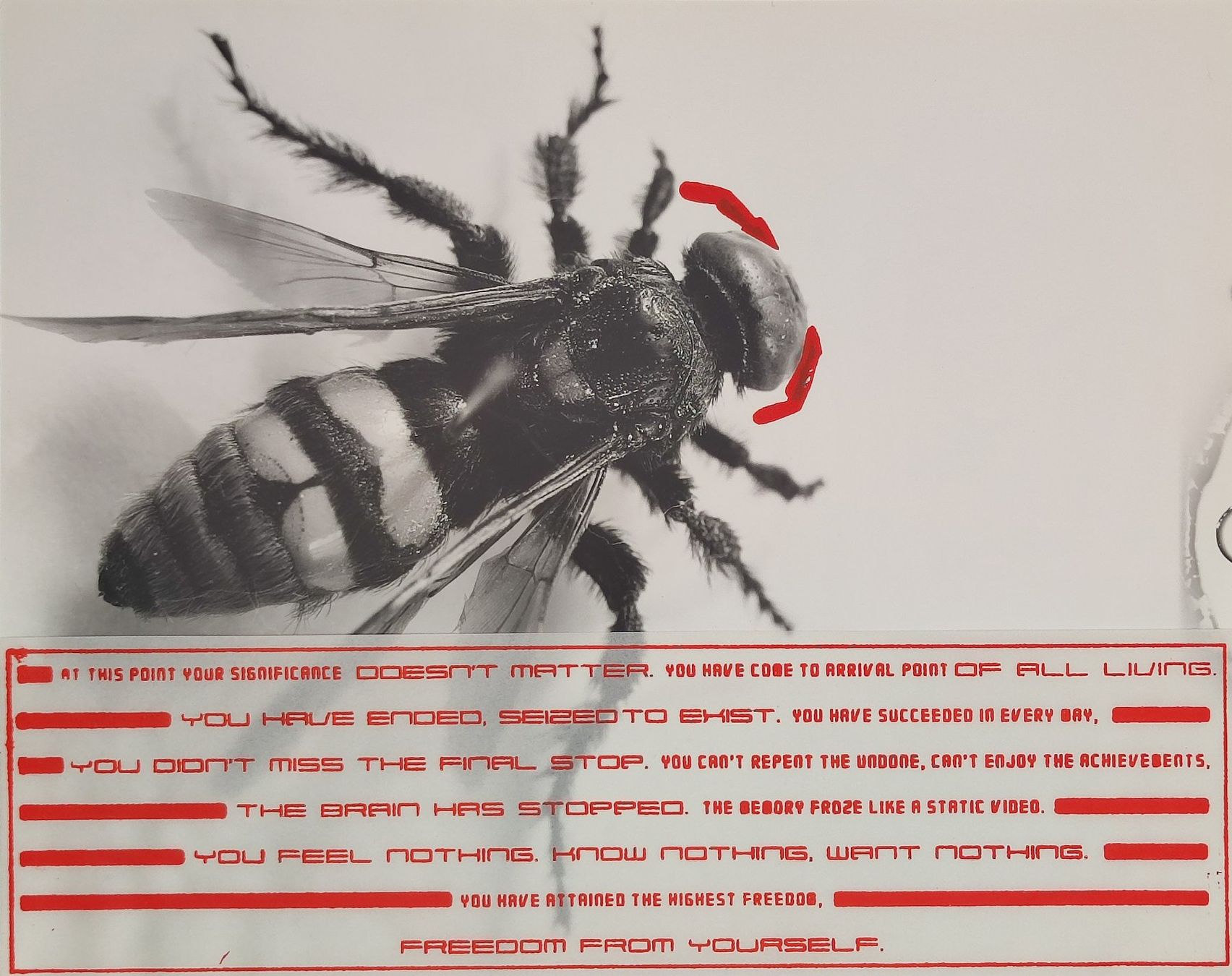 Libri: ARTISTS BOOKS - DEATH - PATRICK MCNEIL – Usato da Goldach venduto da Gaip 4