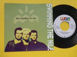 Swimming The Nile – The Monkey In Me