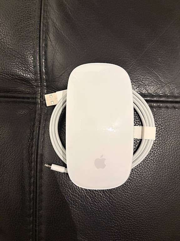 Mouse: Apple Magic Mouse (USB-C) – Usato da Genève venduto da tam_t5l2