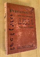 Tiere Prärietiere Kosmos