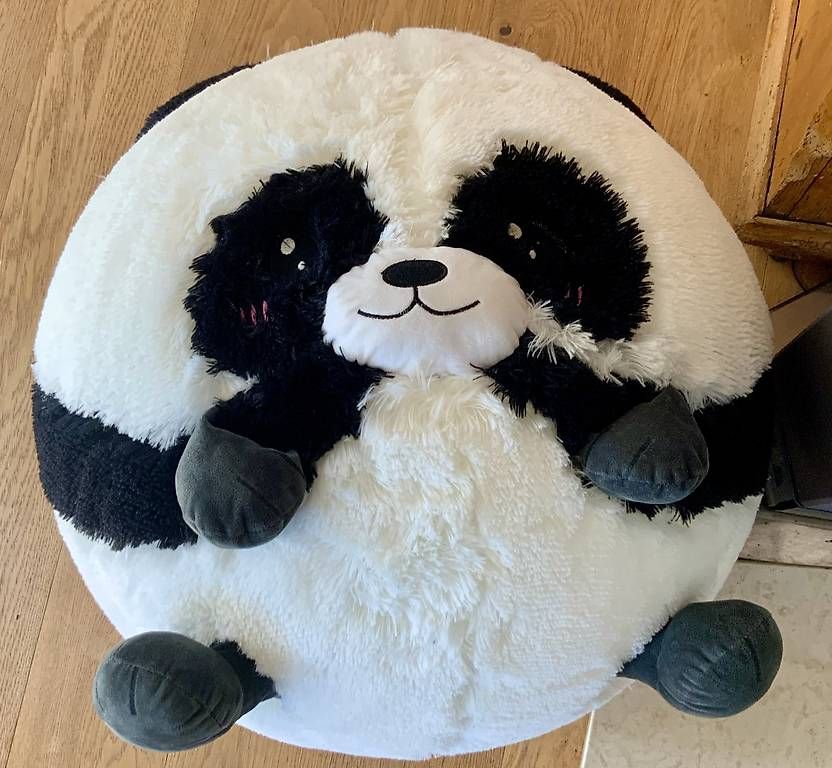 Palloni: Panda Yogaball  – Usato da Oberwil BL venduto da wanndann 1