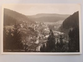 Altenbrak im Bodetal (Harz)
