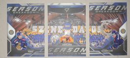 SportZoo Playoff, Season Breakdown, HC Davos