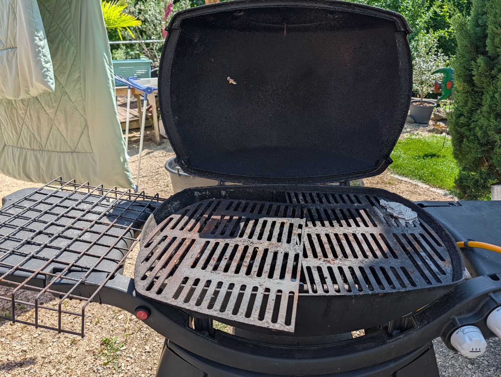 Grills: Weber Q50 Gasgrill – Gebraucht aus Thalheim AG von duxeli_thale 3