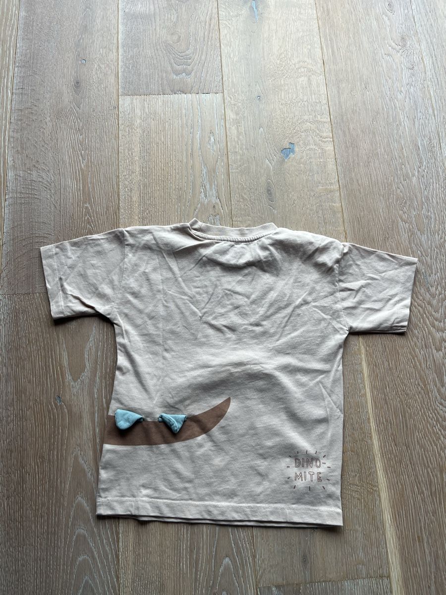 Next Camicie, T-shirt & Polo: T-Shirt Next Grösse 104 – Usato da Aarburg venduto da cha_6t8j 1
