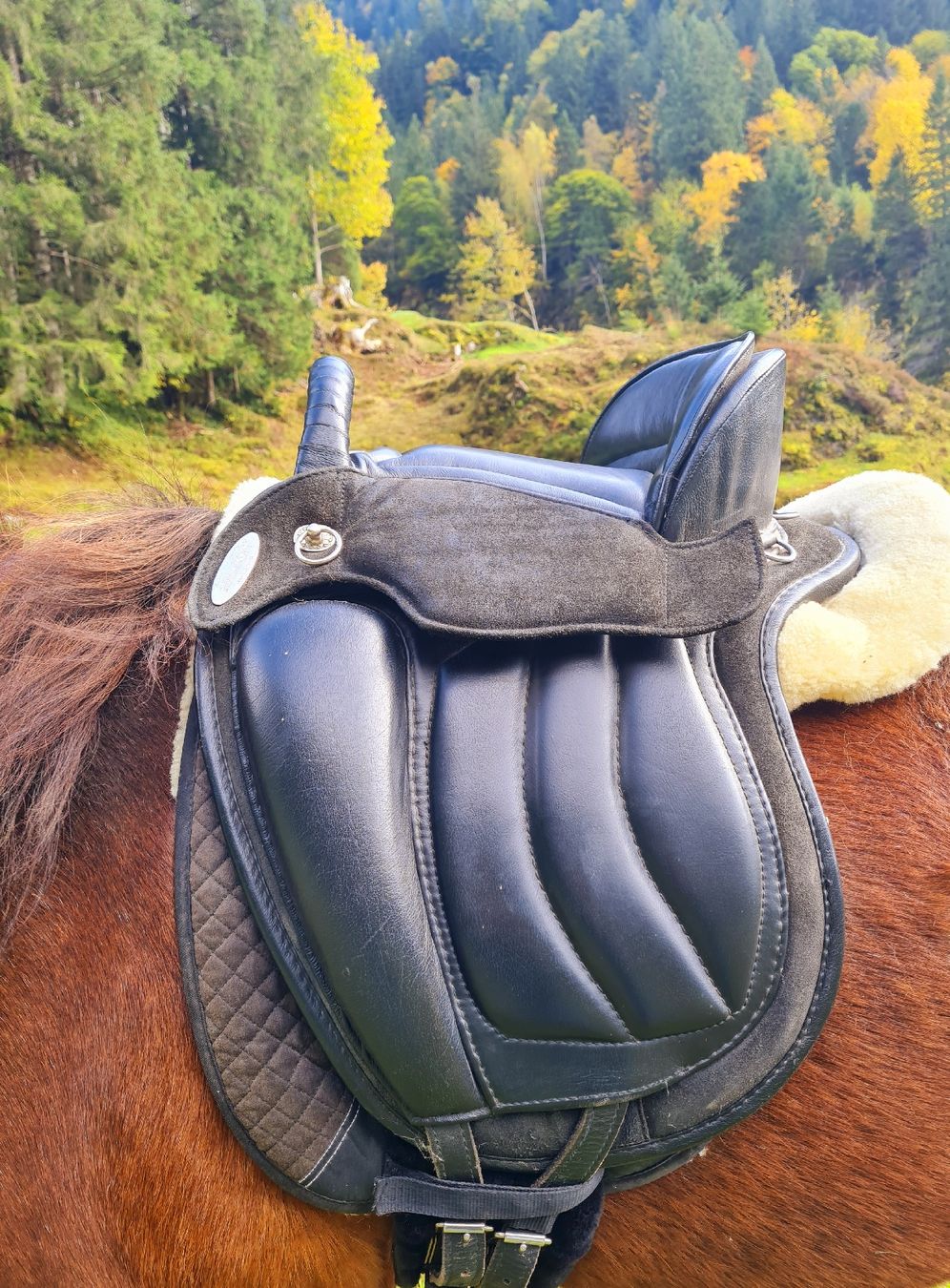 Selles, accessoires: Baumloser Hilason Trekker Sattel – D'occasion à Gadmen par Free21