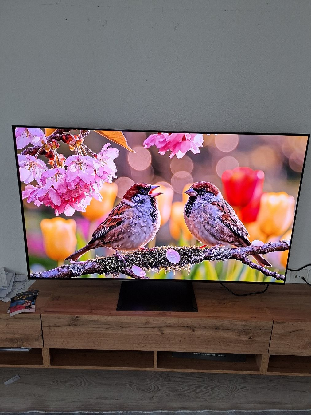Samsung Televisori: Samsung OLED 55" S90C QD-OLED  +2 Jahre,G – Nuovo (secondo la descrizione) da Rorschach venduto da men_t86c 1