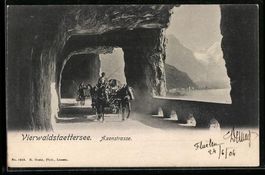 Axenstrasse /Vierwaldstaettersee, Pferde