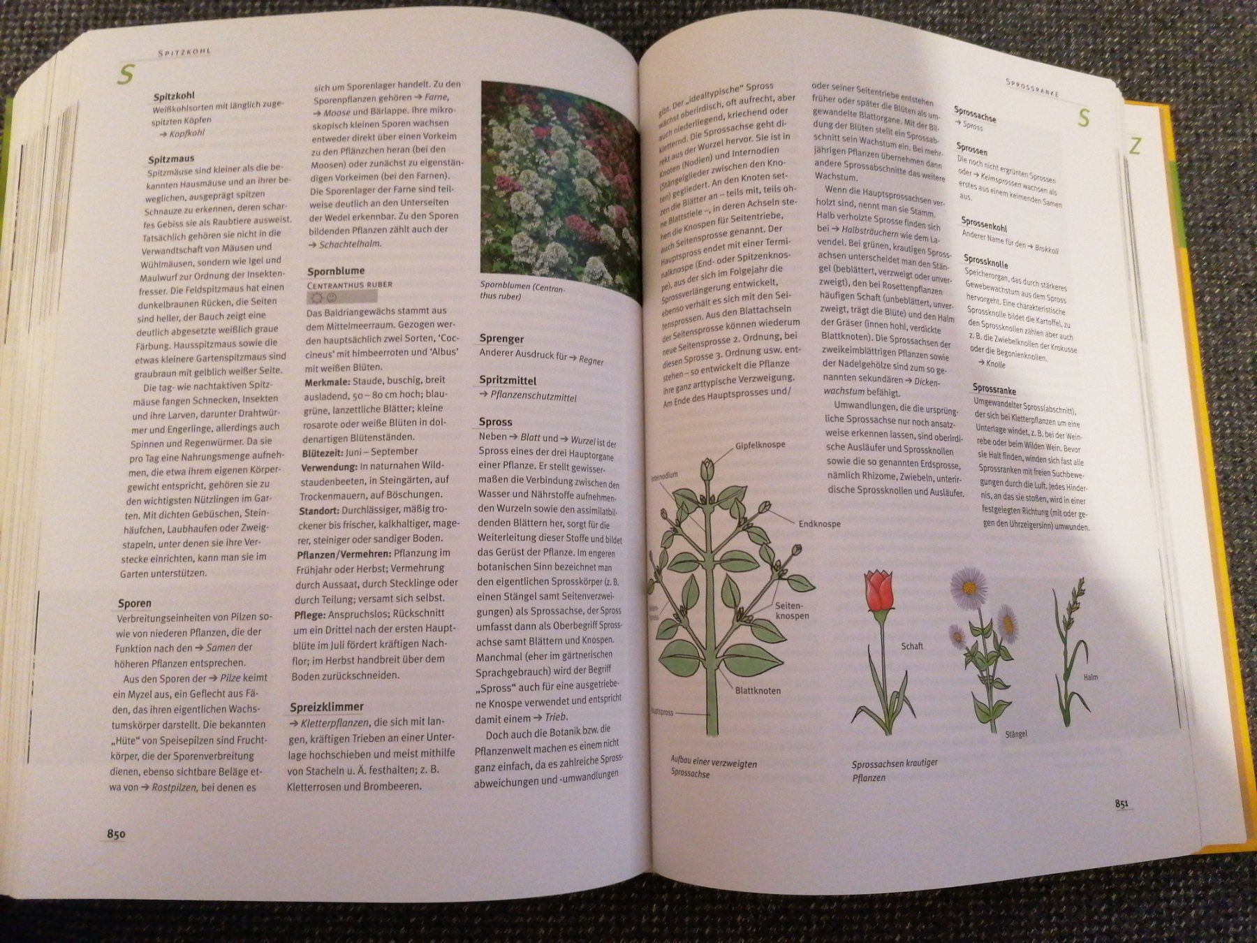 Libri: Das grosse Ulmer Gartenlexikon – Usato da Büttikon AG venduto da Amineah 3