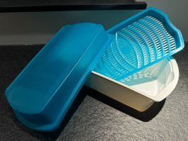 Tupperware Fuor Season Frischebehälter