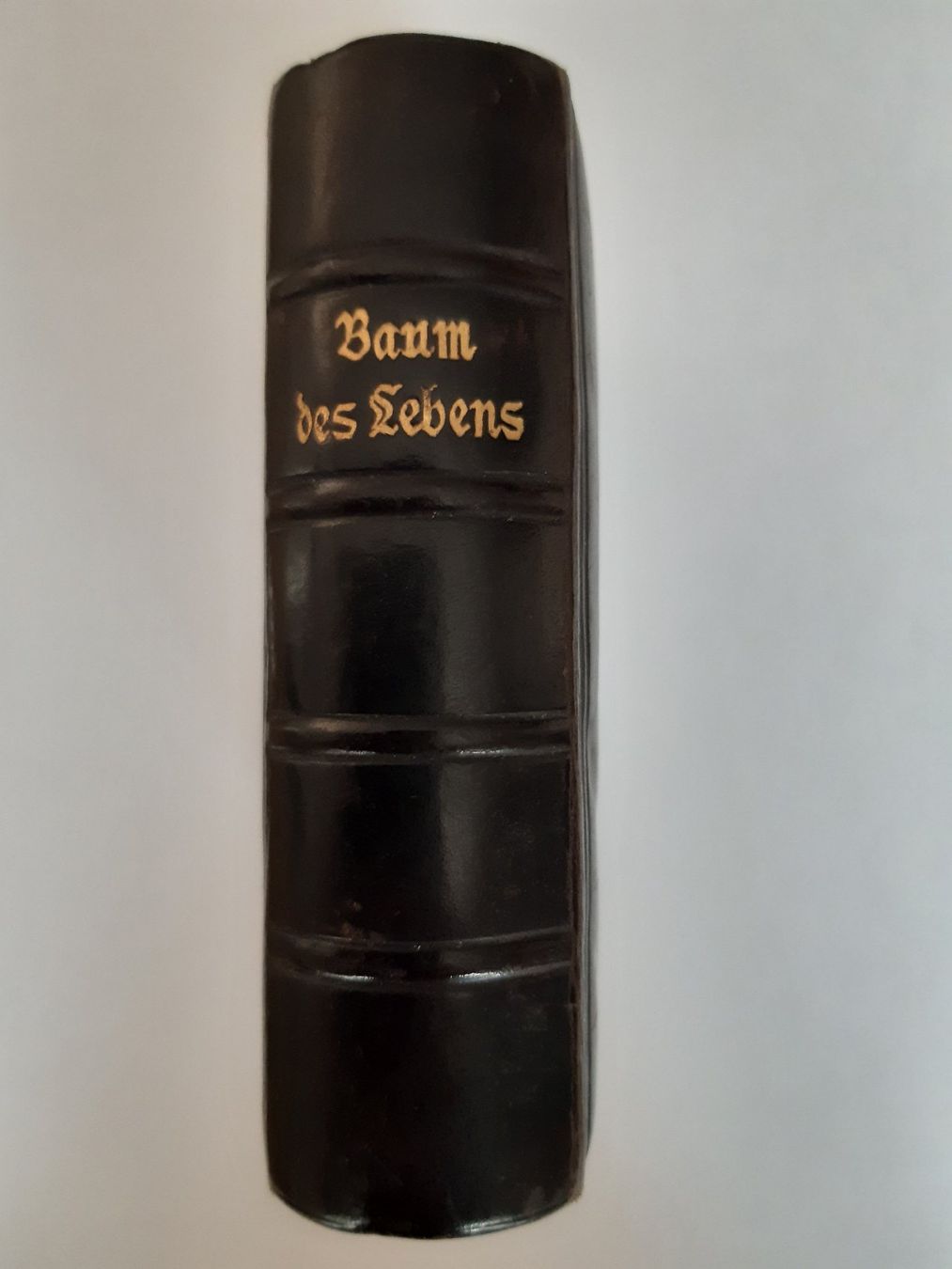 Bücher: Gebetbuch / Baum des Lebens von Schröder – Gebraucht aus Pieterlen von Dyui 1