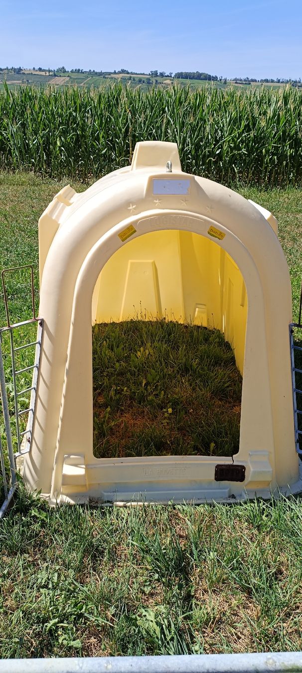 Gabbie, trasporto & Sicurezza: Kälberiglu mit Gehege gebraucht – Usato da Hallau venduto da FNeukomm 1