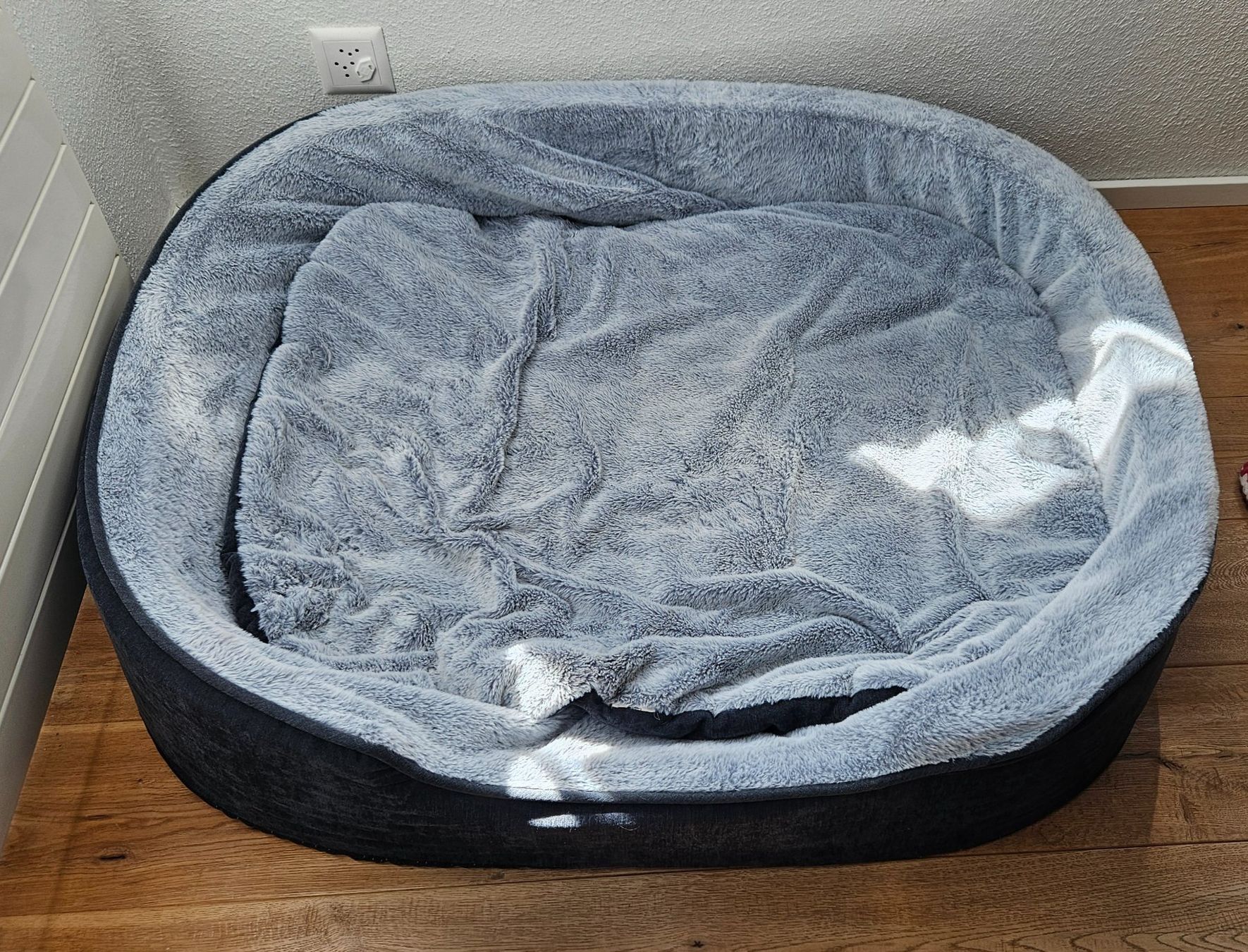 Trixie Cucce & Letti: Hundebett vital 112x92cm – Nuovo (secondo la descrizione) da Wald ZH venduto da bueppi