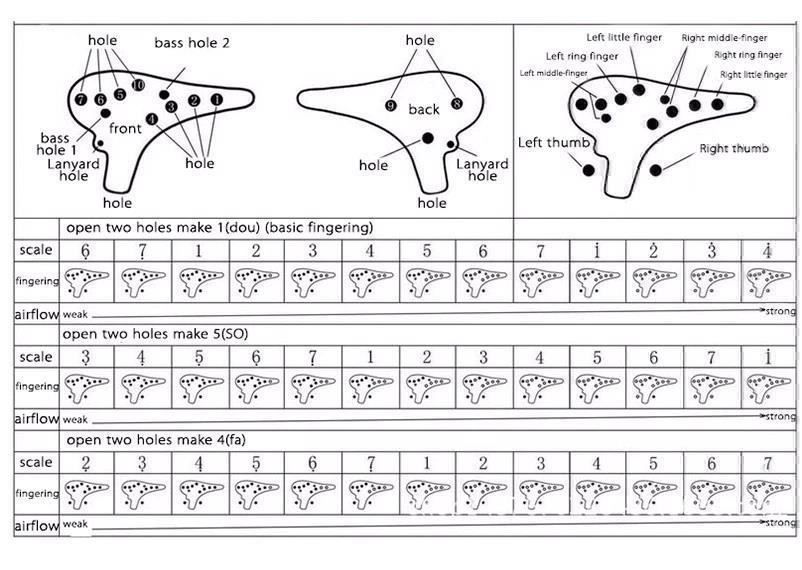 Strumenti musicali: Instrument de musique à 12 trous – Nuovo e nell'imballaggio originale da Gurmels venduto da Swisspod 4