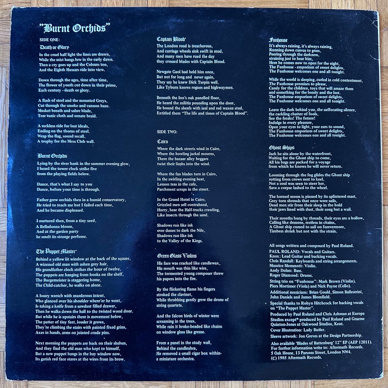 Dischi in vinile: LP + MAXI - Paul Roland - Burnt Orchids – Usato da Breganzona venduto da Onairda75 1
