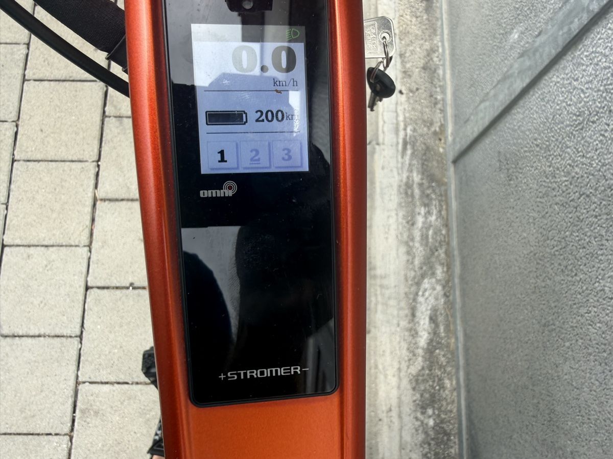 Stromer Biciclette: Stromer ST1 X – Usato da Oberentfelden venduto da speed_71 7