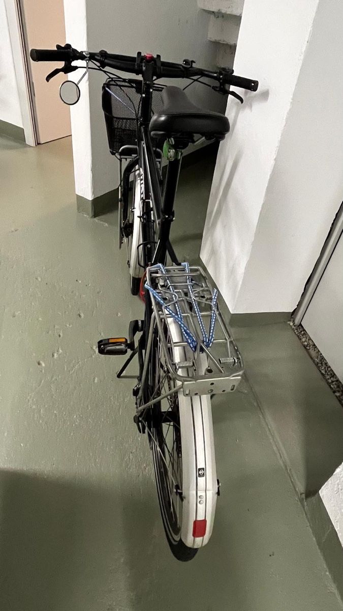 Surly Biciclette: Tourenvelo – Usato da Bern venduto da Beundenfeld 1