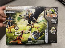 Jouet Playmobil Dino Rise 71263 pteranodon neuf