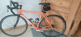Rennvelo Steppenwolf