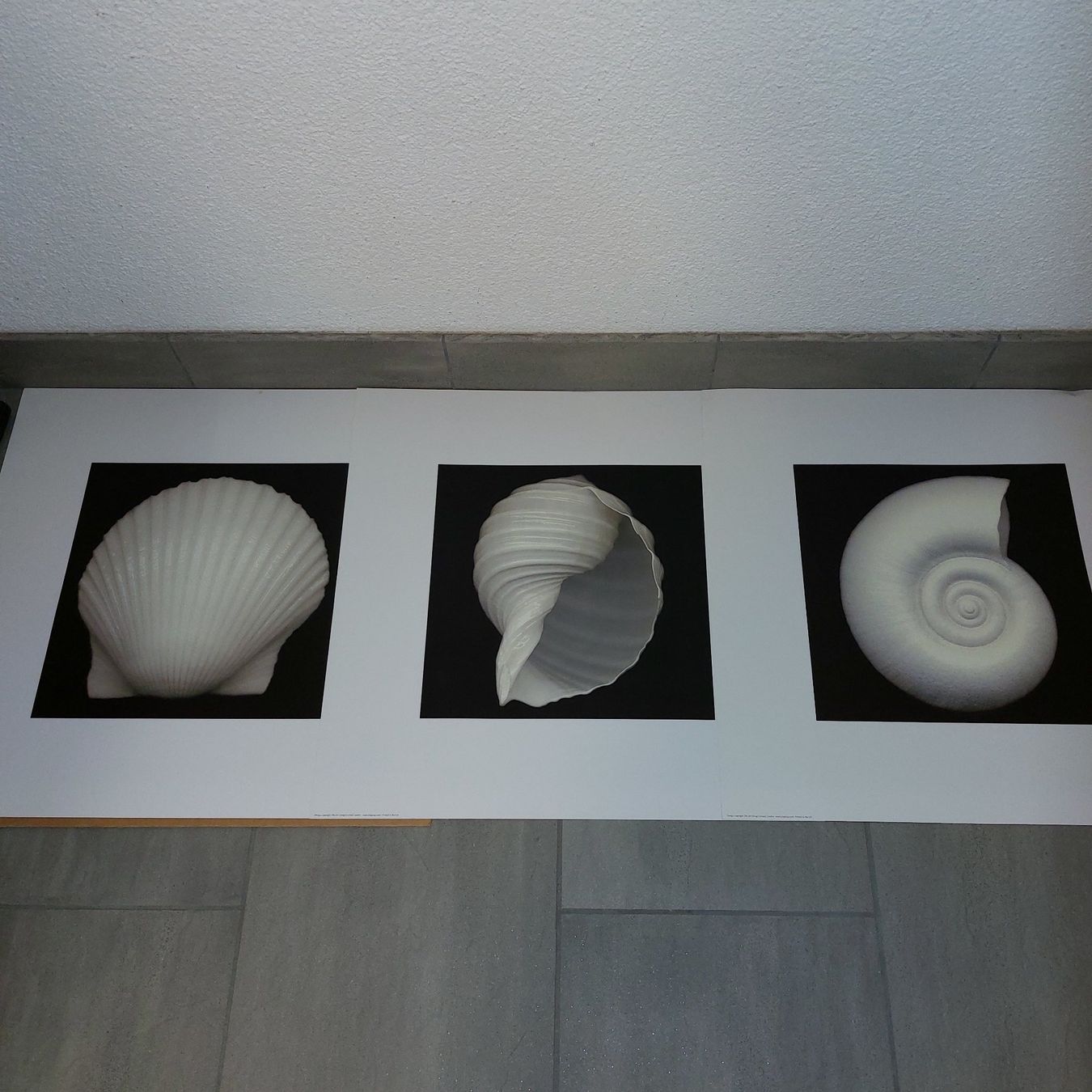 Foto & Immagini: 3 Bilder – Usato da Bellikon venduto da Anithom