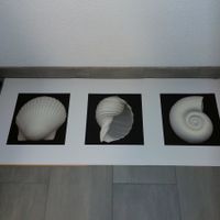 3 Bilder