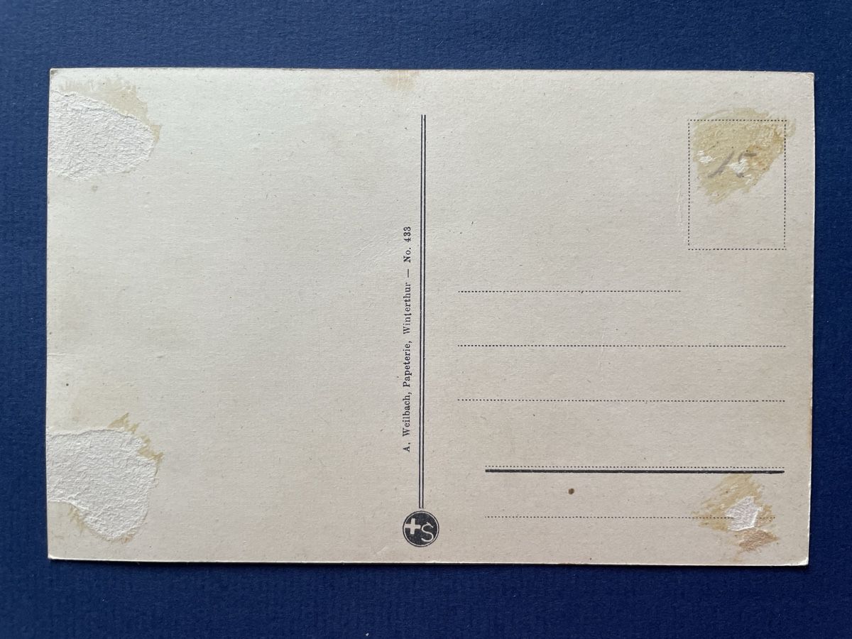Cartoline postali: Winterthur - Totalansicht vom Bäumli, alte Ansichtskarte – Usato da Neuhausen am Rheinfall venduto da Arielle55 1