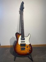 Peavey Generation Custom EXP mit Piezo