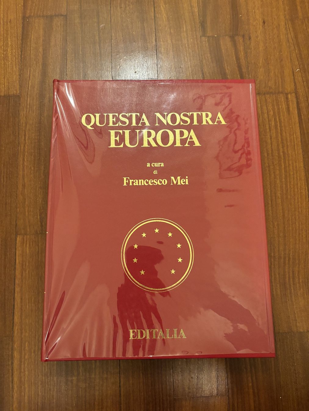 Libri: Questa Nostra Europa – Usato da Lugano venduto da Mark_Young