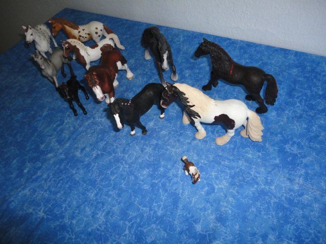Schleich Spielzeuge: SCHLEICH PFERDE 11X – Neu (gemäss Beschreibung) aus Teufen AR von Donschabl 3