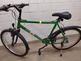 Fahrrad  Velo grün