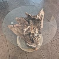 Salontisch aus Baumstrunk mit Glasplatte