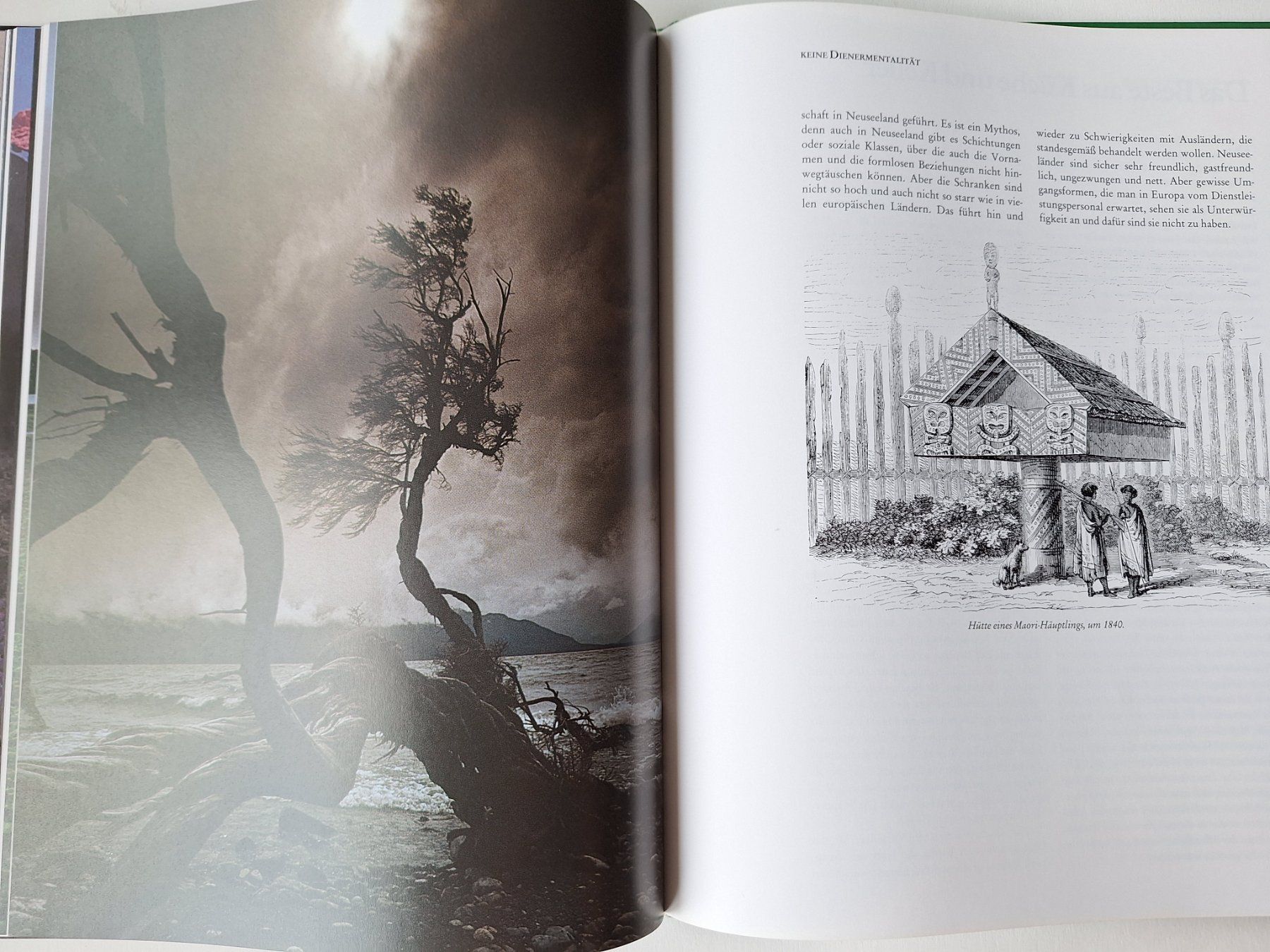 Libri: Neuseeland – Usato da Zürich venduto da t24_de 6