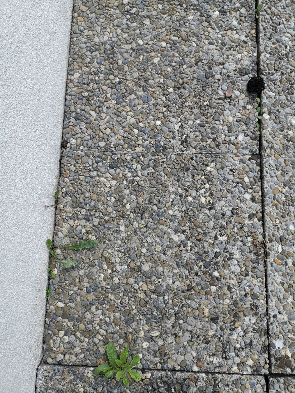 Servierplatten: Waschbetonplatten – Gebraucht aus Subingen von gro_78ms