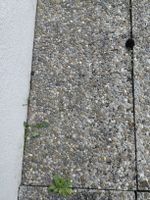 Waschbetonplatten