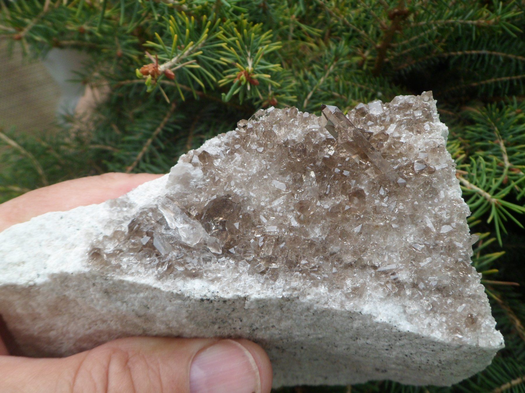 Mineralien & Heilsteine: Rauchquarz auf 2 Seiten. Schweiz – Gebraucht aus Affoltern am Albis von Fossil60 6