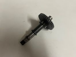 Hauptwelle Ritzelwelle Motor Beta 521