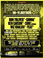 Openair Frauenfeld 3 Tages Pass