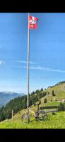 Trek Mountainbike Top Zustand L/XL