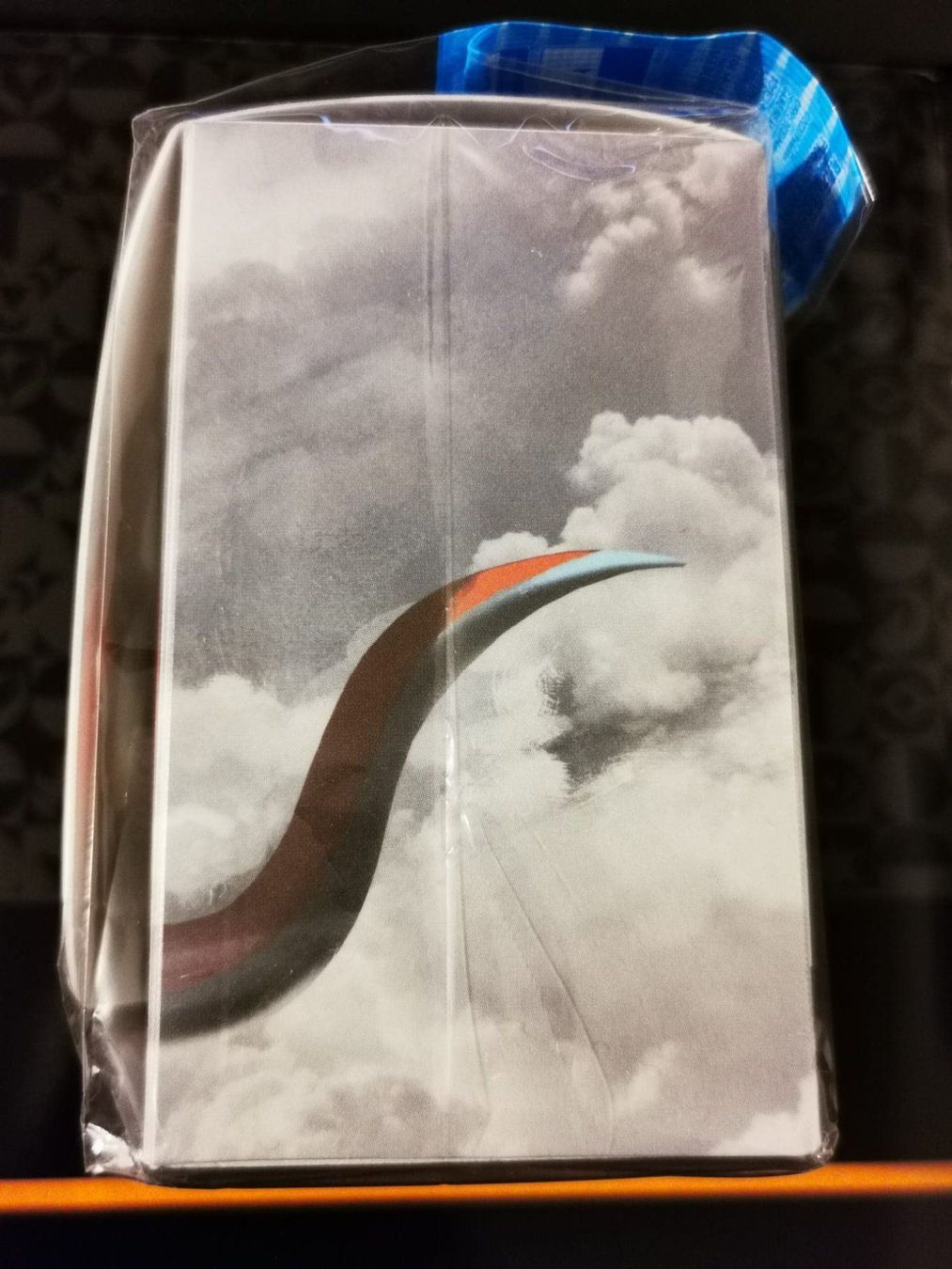 Carte collezionabili: TCG Deck Box Case Brutalanda - Salamence – Usato da Opfikon venduto da Yoshis_World 4