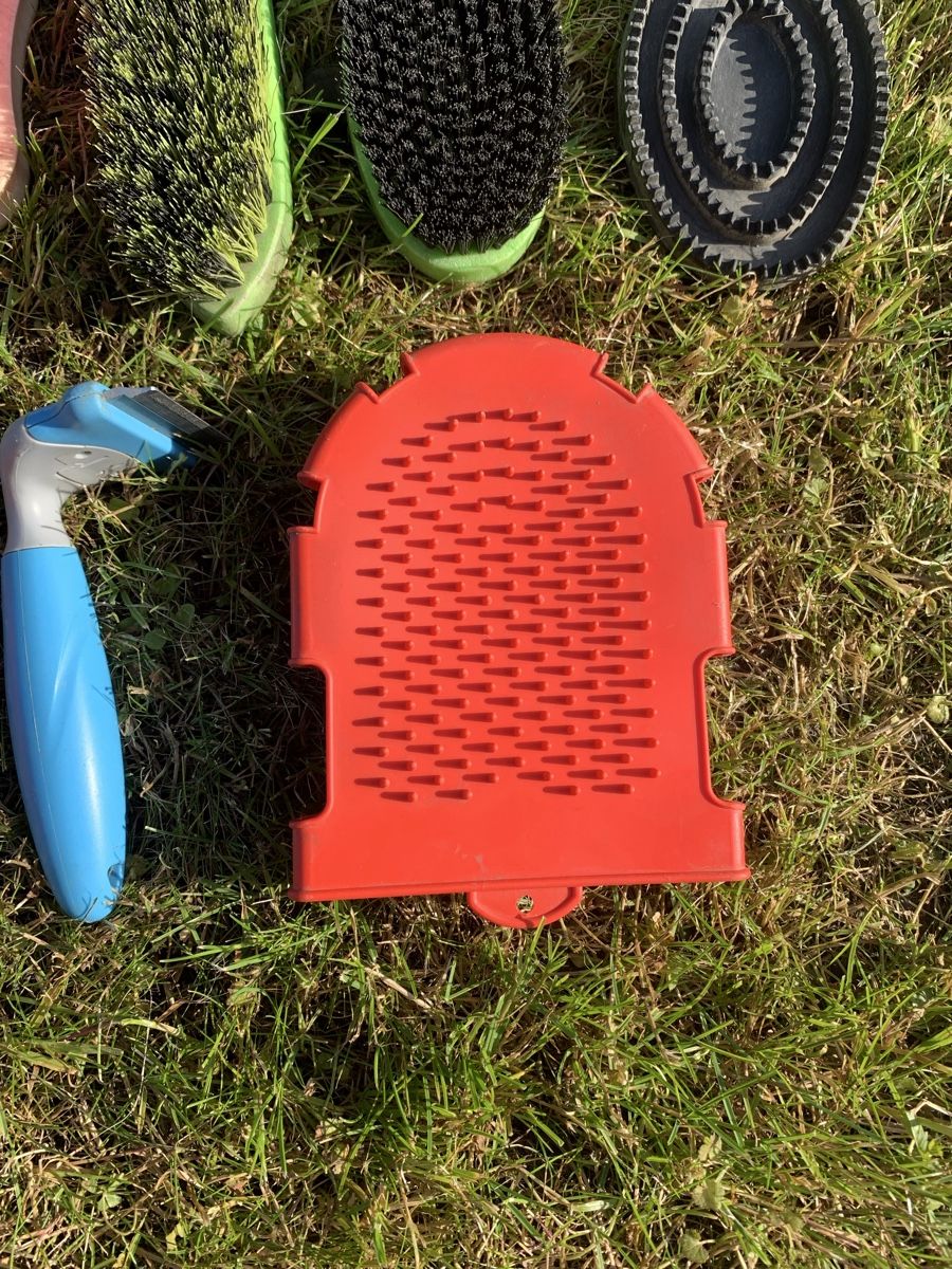 Altro per la casa: Putzbox mit Striegel – Usato da Widnau venduto da S31 2