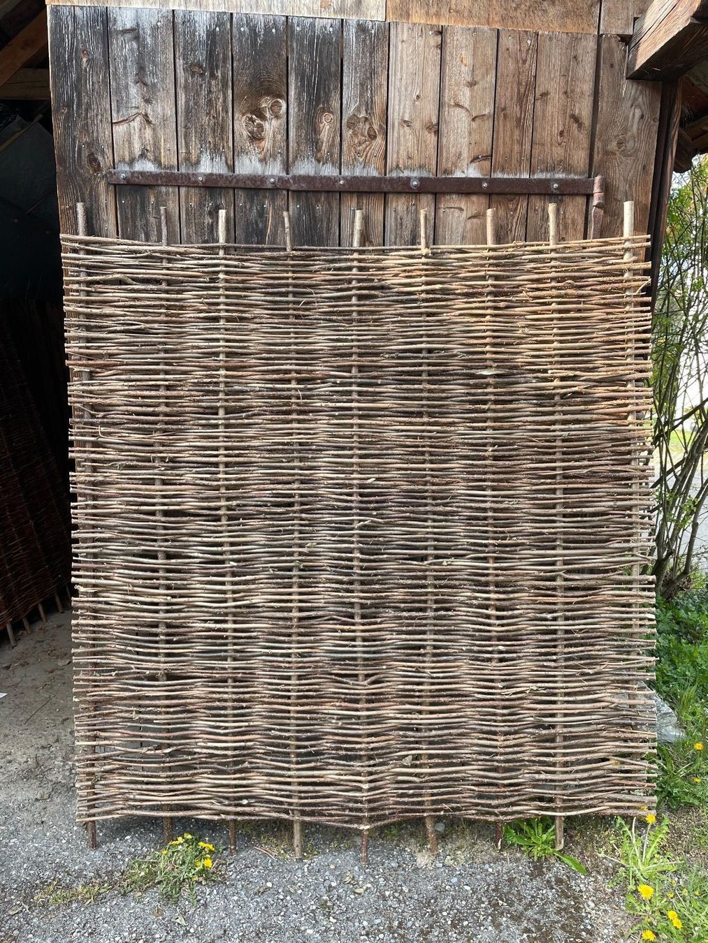 Fendivista: Haselzaun 180 x 180 cm – Nuovo e nell'imballaggio originale da Thunstetten venduto da chriguoester